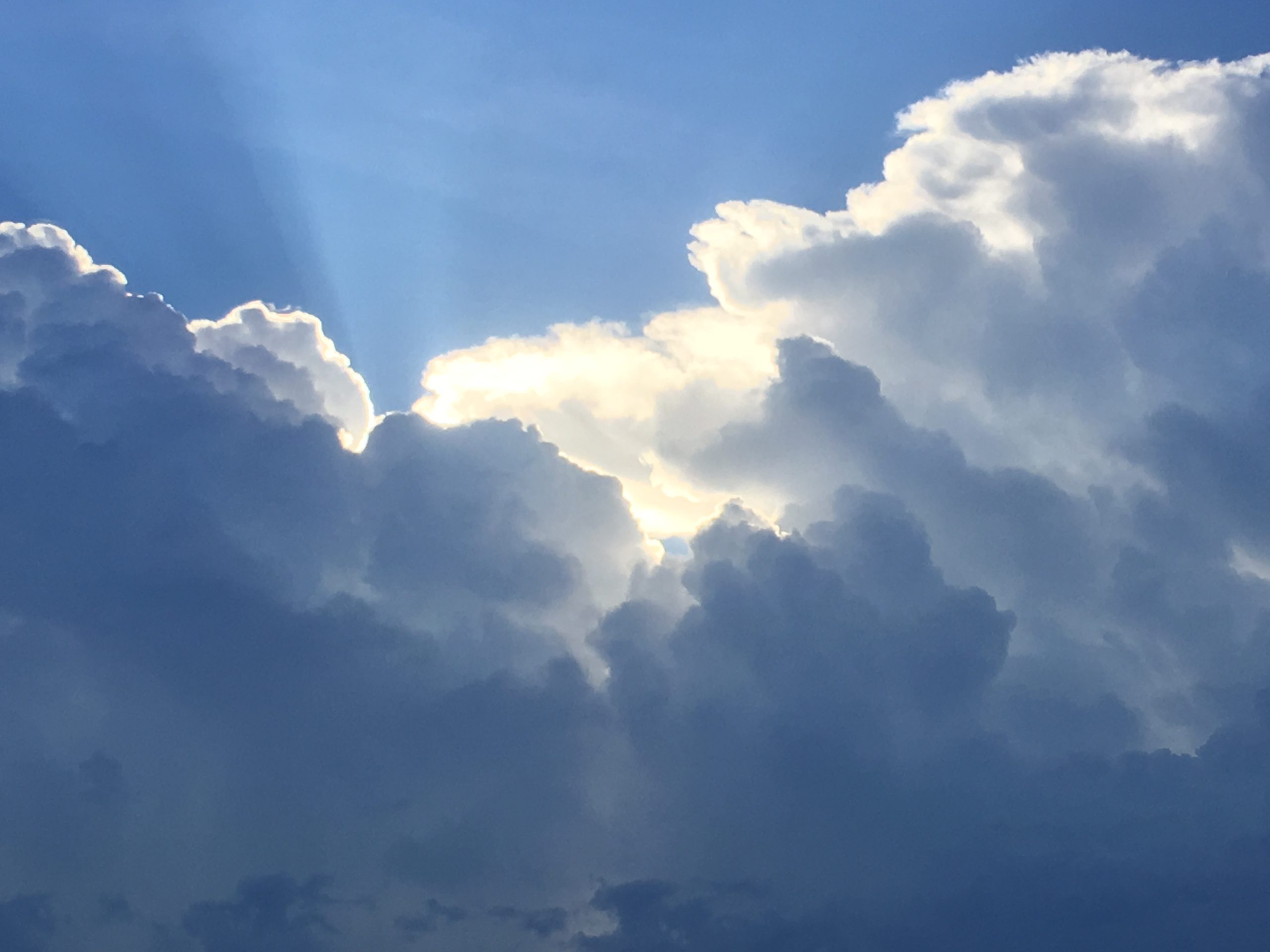 Writings - Core Life